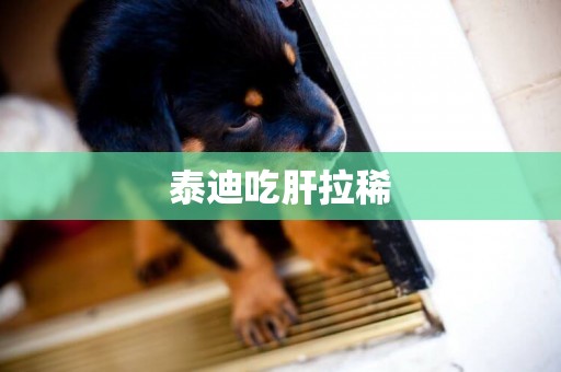 泰迪吃肝拉稀