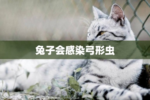 兔子會感染弓形蟲