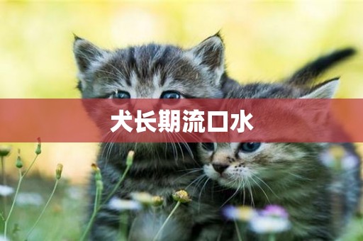 犬長期流口水