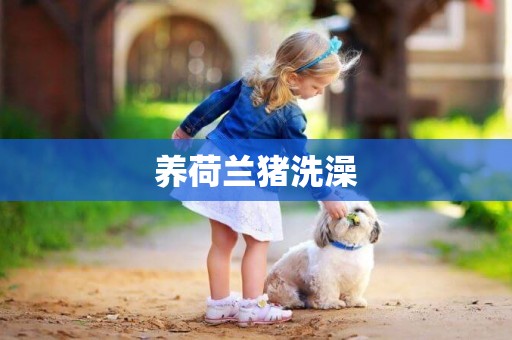 養荷蘭豬洗澡
