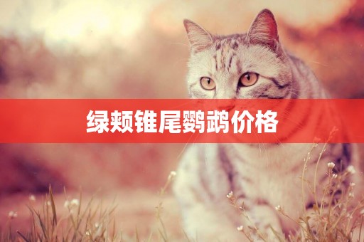 綠頰錐尾鸚鵡價格