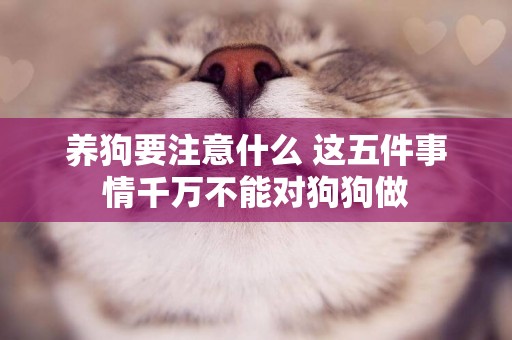 養狗要注意什么 這五件事情千萬不能對狗狗做