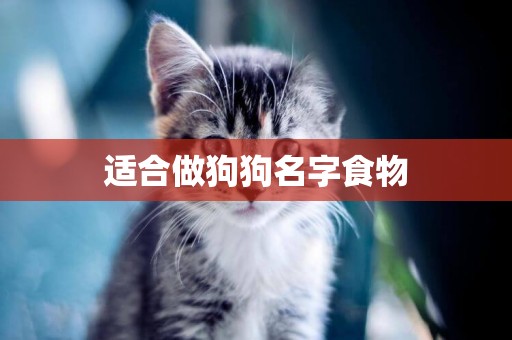 適合做狗狗名字食物