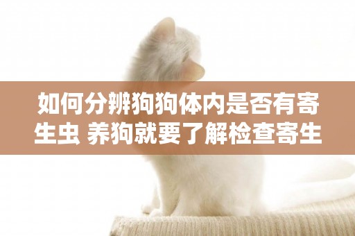 如何分辨狗狗體內是否有寄生蟲 養狗就要了解檢查寄生蟲