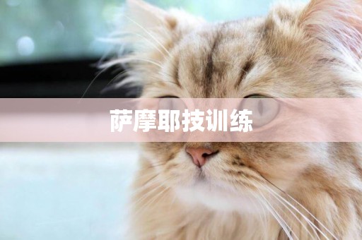 薩摩耶技訓練