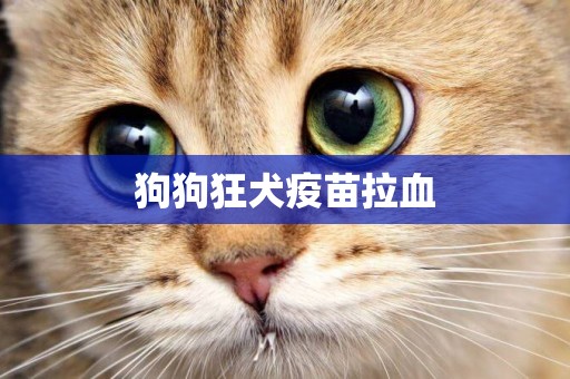 狗狗狂犬疫苗拉血