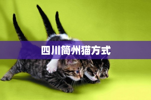 四川簡州貓方式