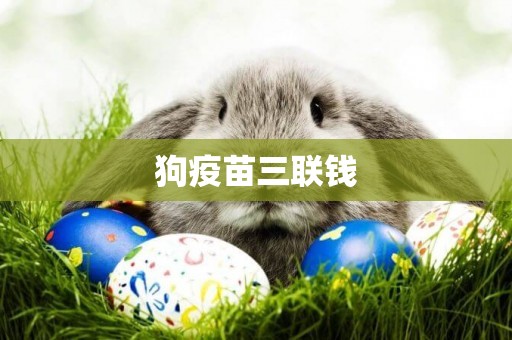 狗疫苗三聯錢