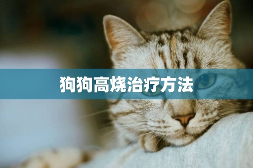 狗狗高燒治療方法