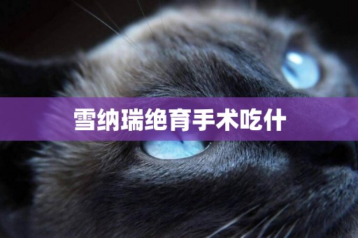 雪納瑞絕育手術吃什