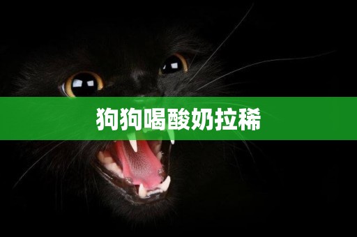 狗狗喝酸奶拉稀