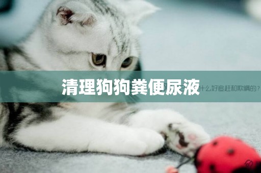 清理狗狗糞便尿液