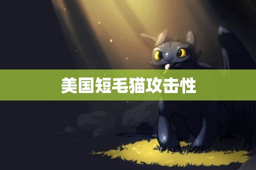 美國短毛貓攻擊性