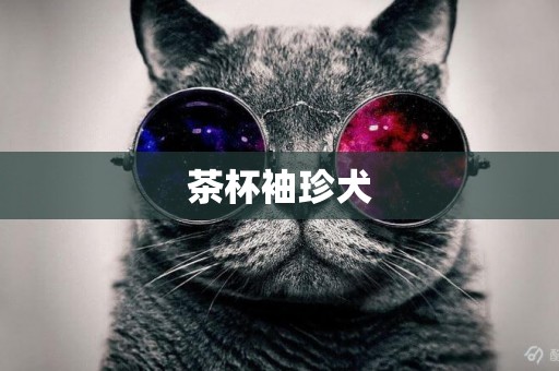 茶杯袖珍犬