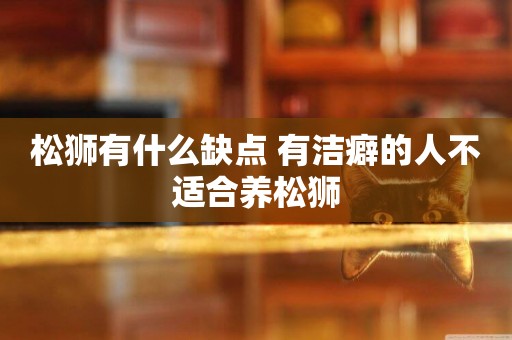 松獅有什么缺點 有潔癖的人不適合養松獅