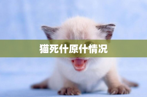 貓死什原什情況