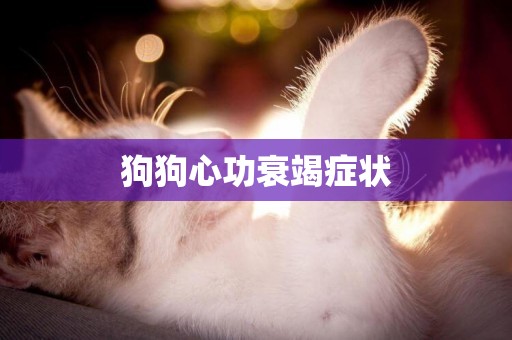狗狗心功衰竭癥狀