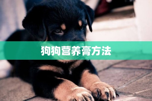 狗狗營養膏方法