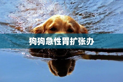 狗狗急性胃擴張辦
