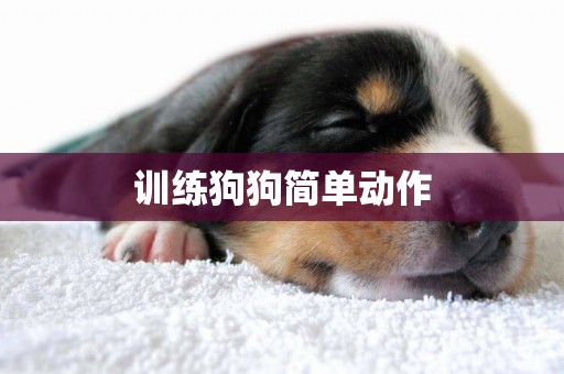 訓練狗狗簡單動作