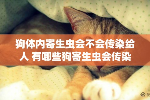 狗體內寄生蟲會不會傳染給人 有哪些狗寄生蟲會傳染給人