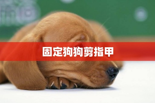 固定狗狗剪指甲