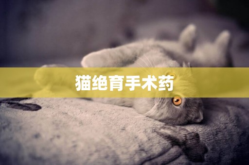 貓絕育手術藥