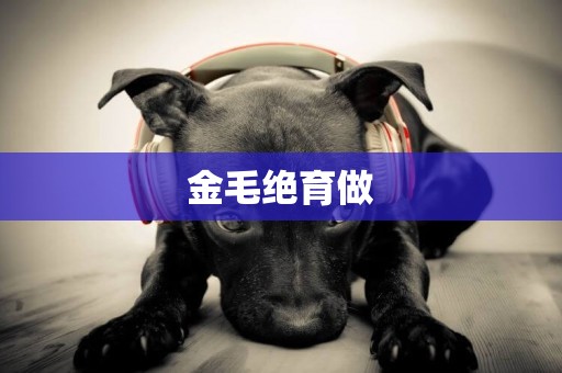 金毛絕育做