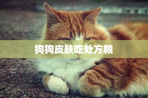狗狗皮膚吃處方糧