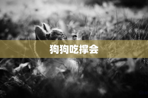 狗狗吃撐會