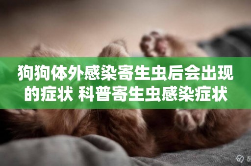 狗狗體外感染寄生蟲后會出現的癥狀 科普寄生蟲感染癥狀