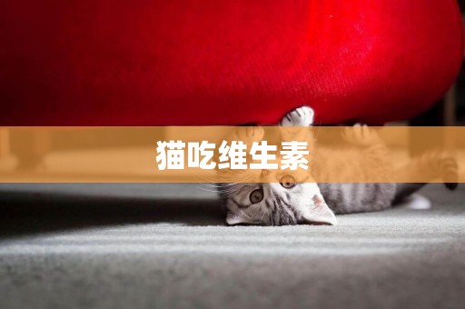 貓吃維生素