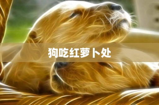 狗吃紅蘿卜處