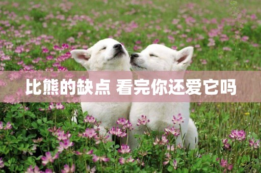 比熊的缺點 看完你還愛它嗎