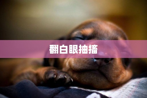 翻白眼抽搐