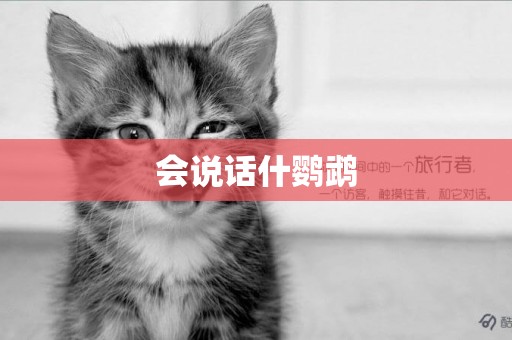 會說話什鸚鵡