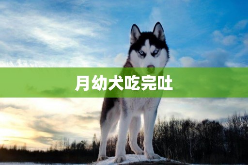 月幼犬吃完吐