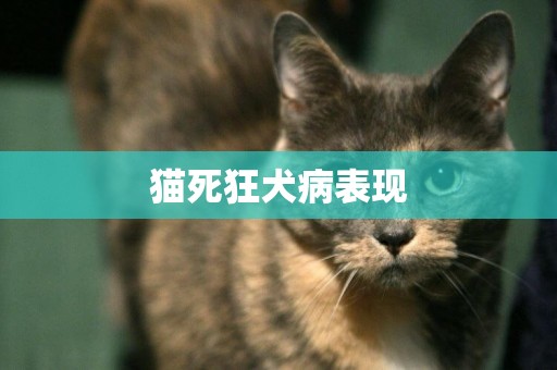 貓死狂犬病表現