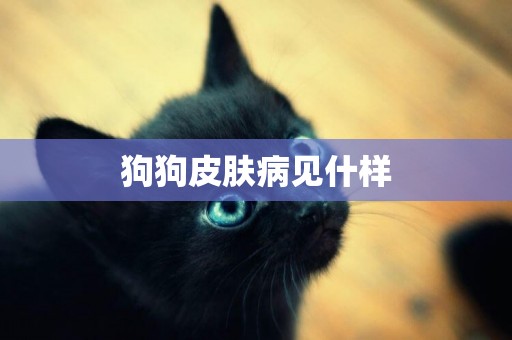 狗狗皮膚病見什樣