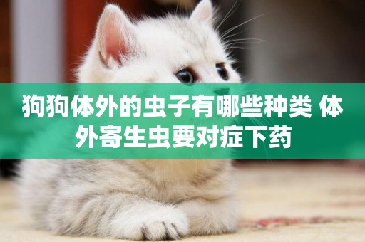 狗狗體外的蟲子有哪些種類 體外寄生蟲要對癥下藥