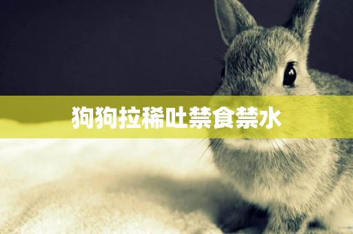 狗狗拉稀吐禁食禁水