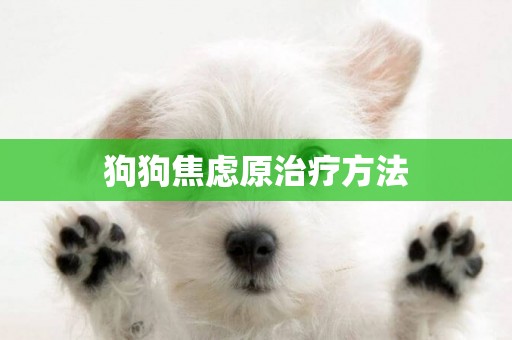 狗狗焦慮原治療方法