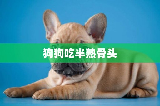 狗狗吃半熟骨頭