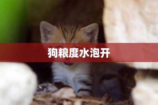 狗糧度水泡開