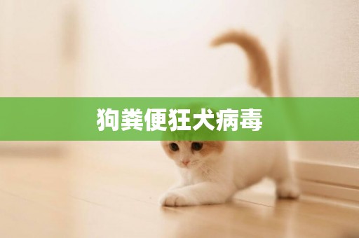 狗糞便狂犬病毒