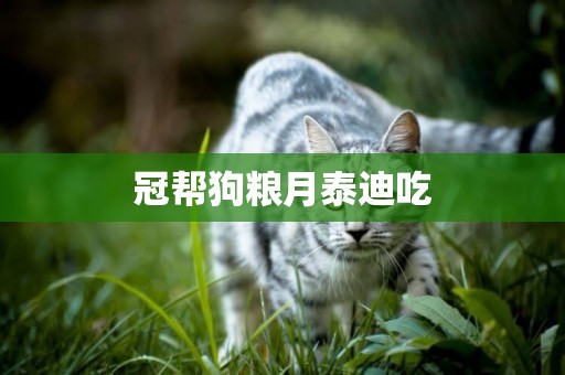 冠幫狗糧月泰迪吃