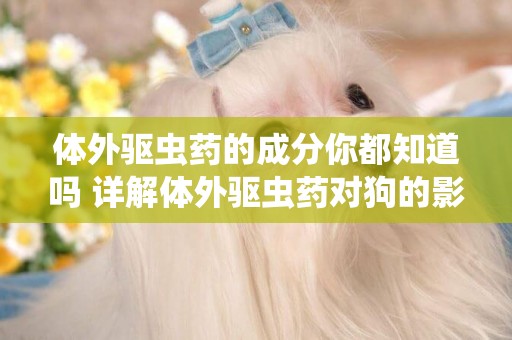 體外驅蟲藥的成分你都知道嗎 詳解體外驅蟲藥對狗的影響