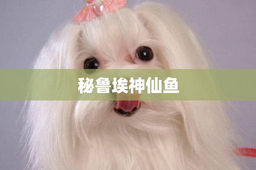 秘魯埃神仙魚