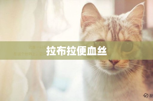 拉布拉便血絲