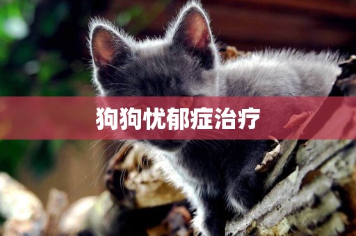 狗狗憂郁癥治療